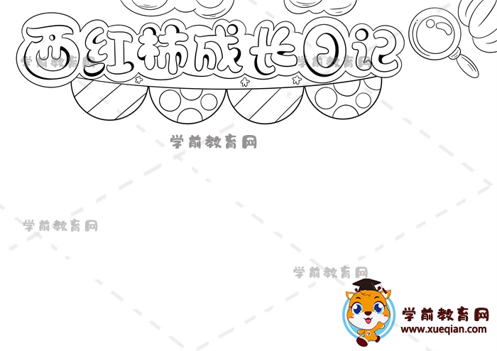 西红柿成长日记手抄报