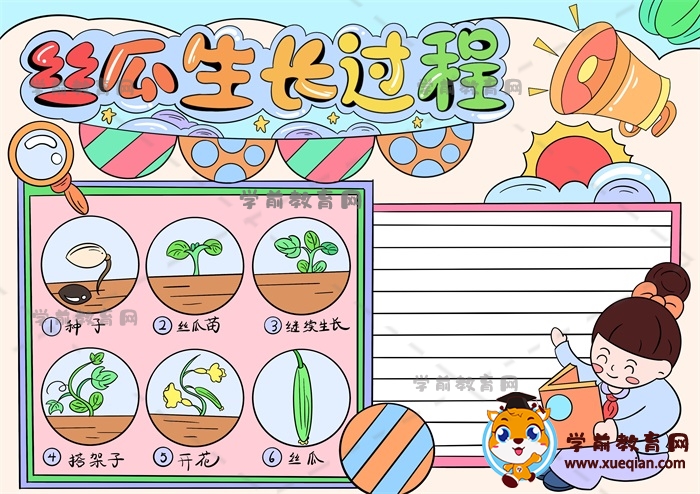 丝瓜生长记录手抄报