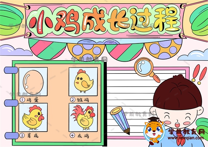 小学生小鸡成长过程手抄报简单画法，记录小鸡的成长过程手抄报模板