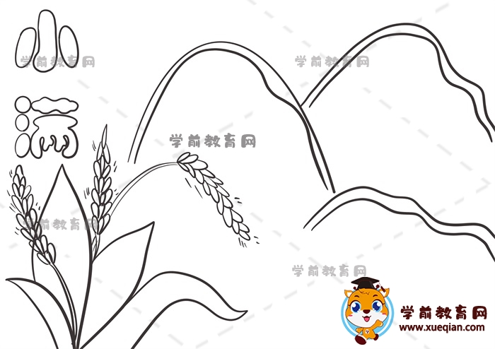 小满手抄报