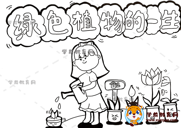 绿色植物的一生手抄报