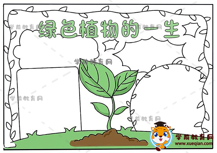 绿色植物的一生手抄报