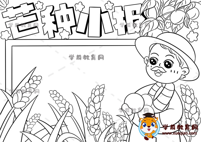 芒种小报手抄报