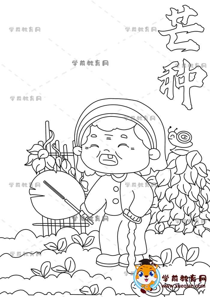 芒种手抄报